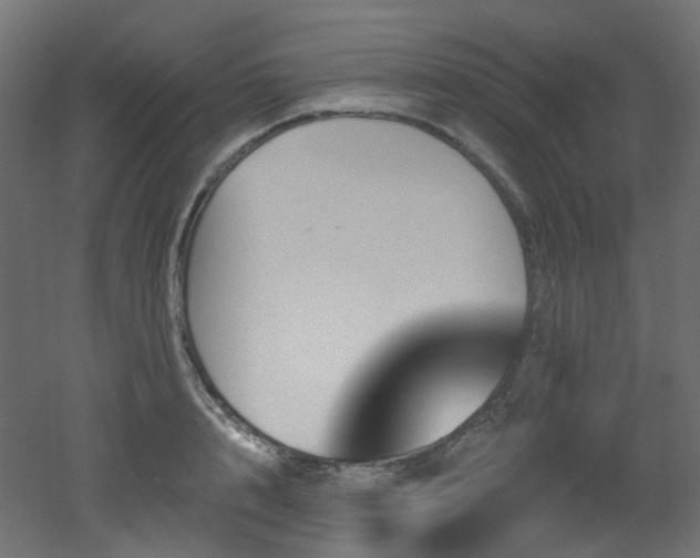 X0000051920848200506241507
