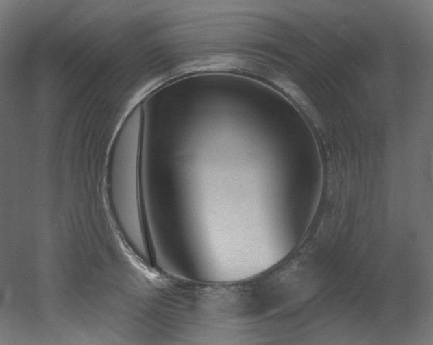 X0000051920850200506241507