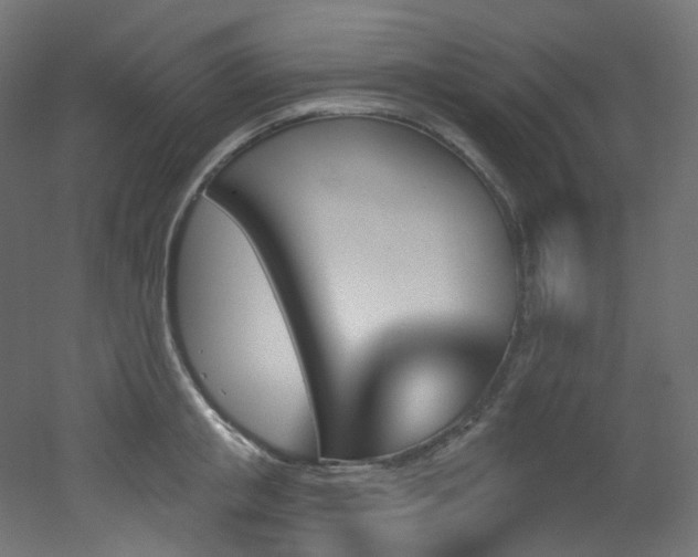 X0000051920853200506241507