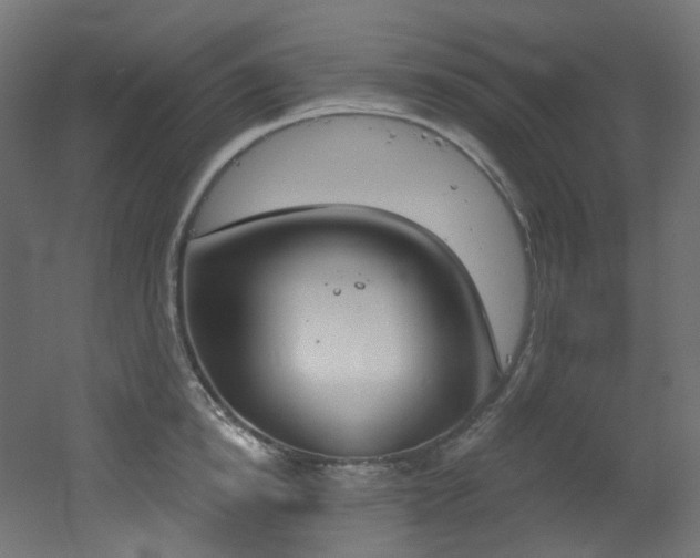 X0000051920854200506241507