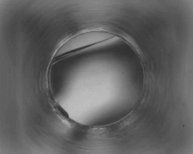 X0000051920858200506241507