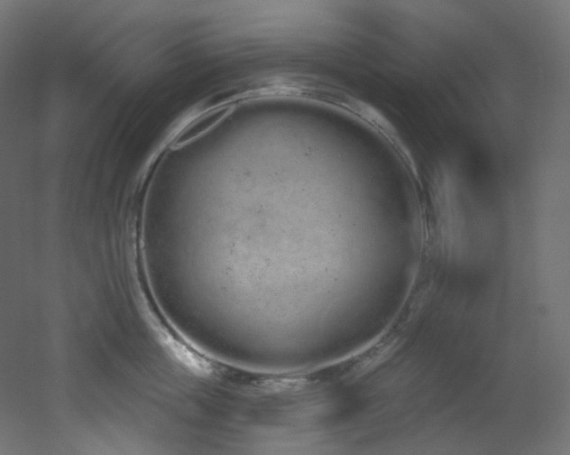 X0000051920859200506241507