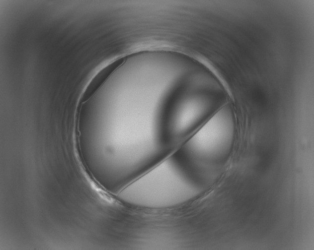 X0000051920861200506241507