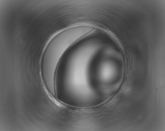 X0000051920862200506241507