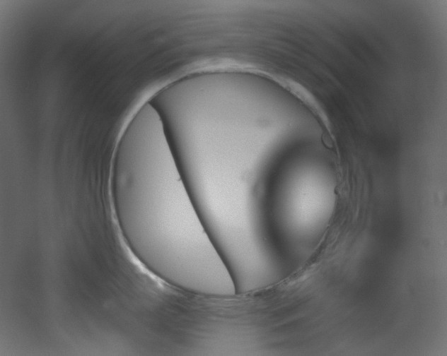 X0000051920863200506241507