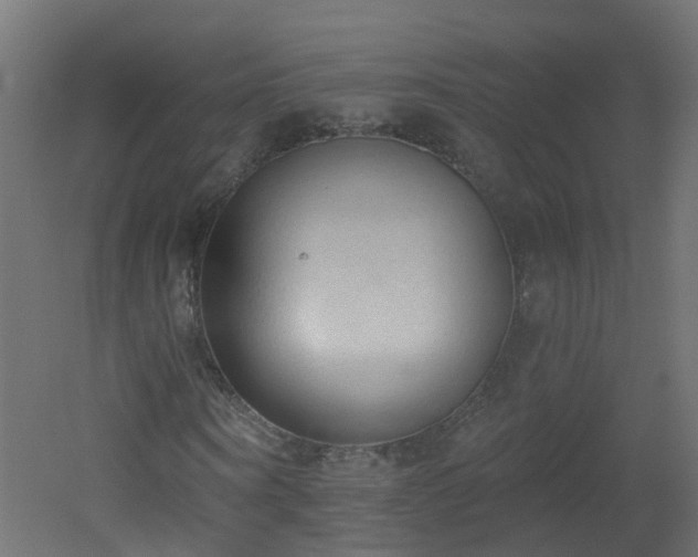 X0000051920866200506241506