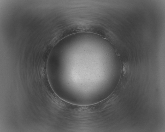X0000051920867200506241506