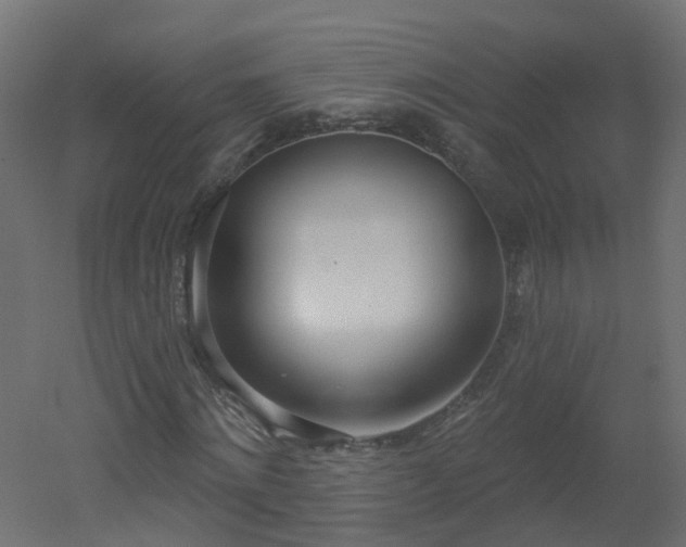 X0000051920868200506241506