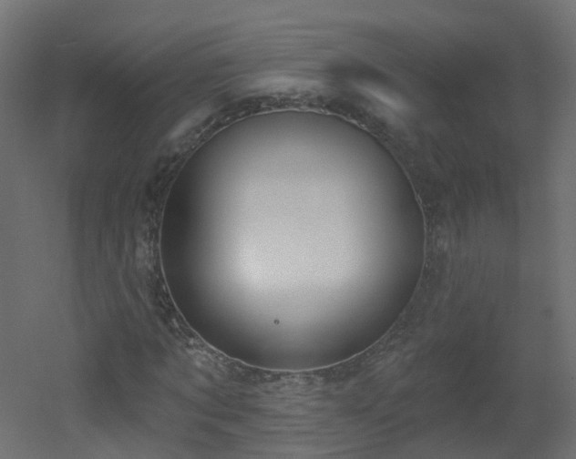 X0000051920869200506241506