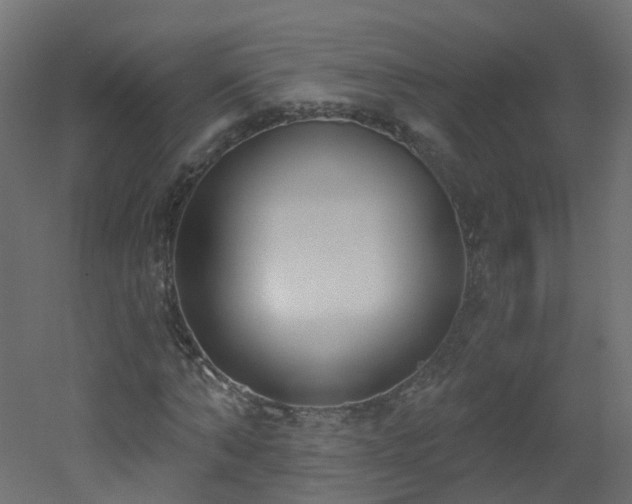 X0000051920870200506241506