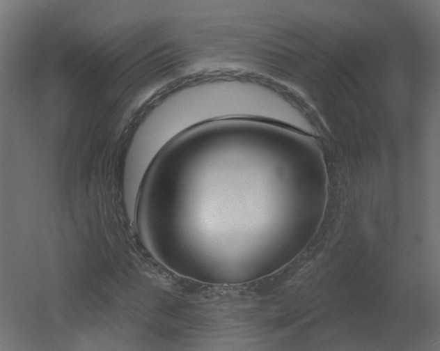 X0000051920871200506241506