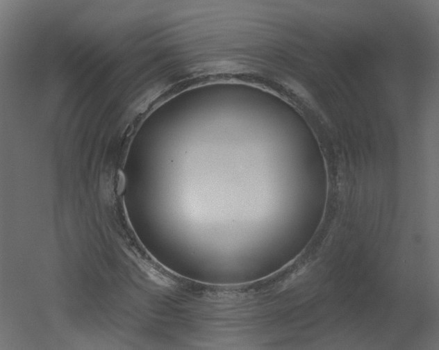 X0000051920873200506241506