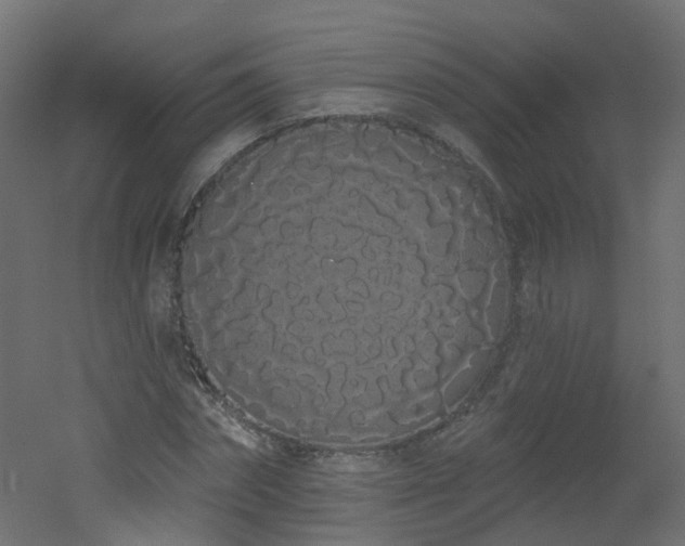X0000051920874200506241506