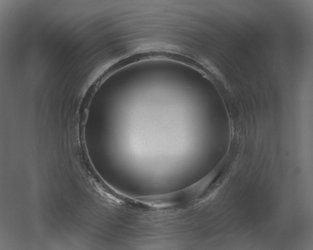 X0000051920877200506241506
