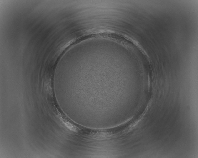 X0000051920881200506241506