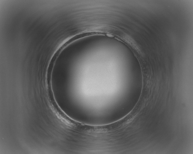 X0000051920884200506241506