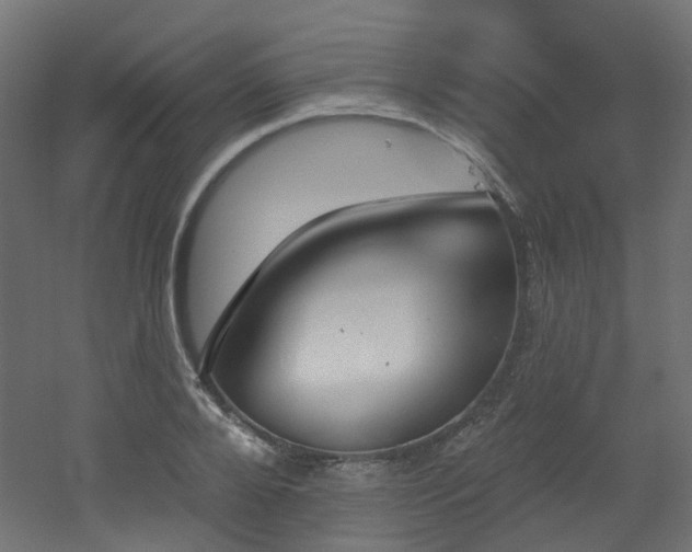 X0000051920888200506241506