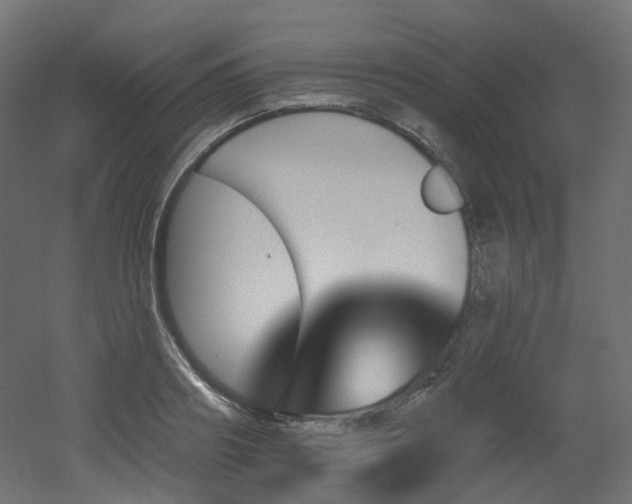 X0000051920890200506241506