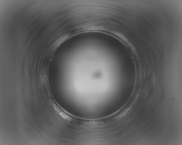 X0000051920897200506241506