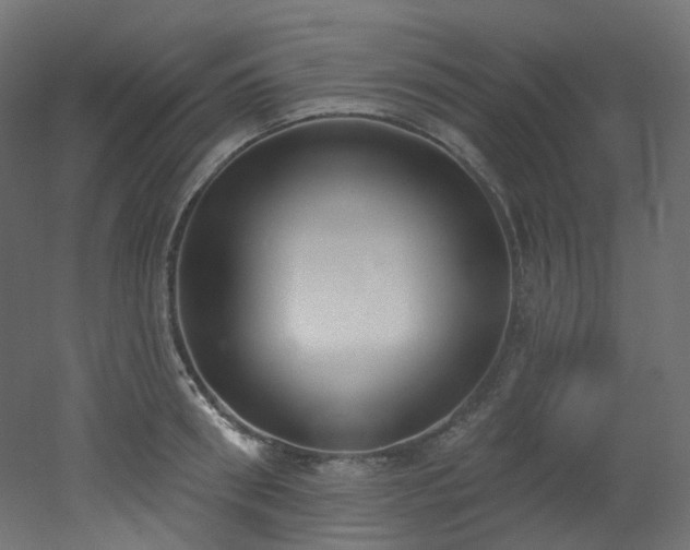 X0000051920898200506241506