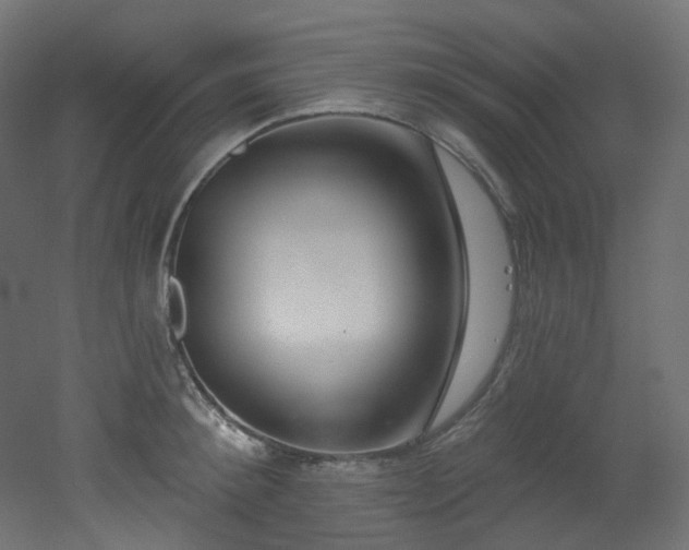 X0000051920900200506241506