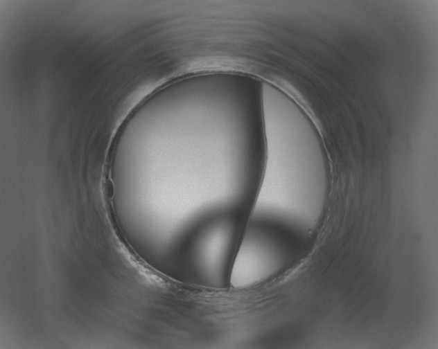 X0000051920901200506241506