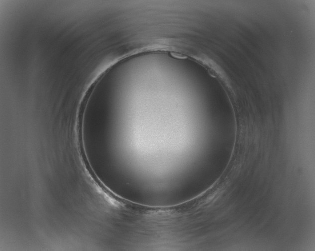 X0000051920902200506241506
