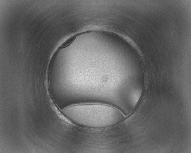 X0000051920904200506241506