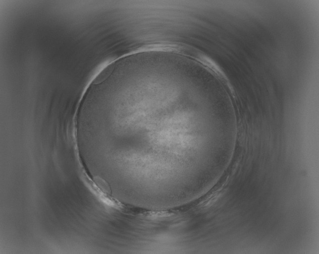X0000051920907200506241506