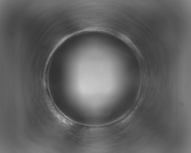 X0000051920908200506241506