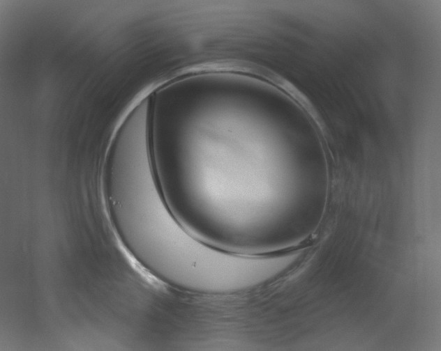 X0000051920909200506241506