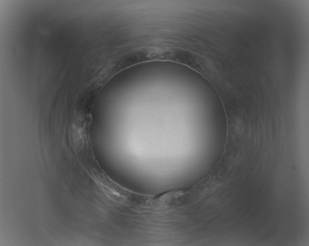 X0000051920914200506241505