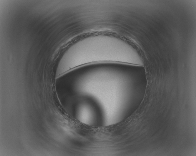 X0000051920920200506241505