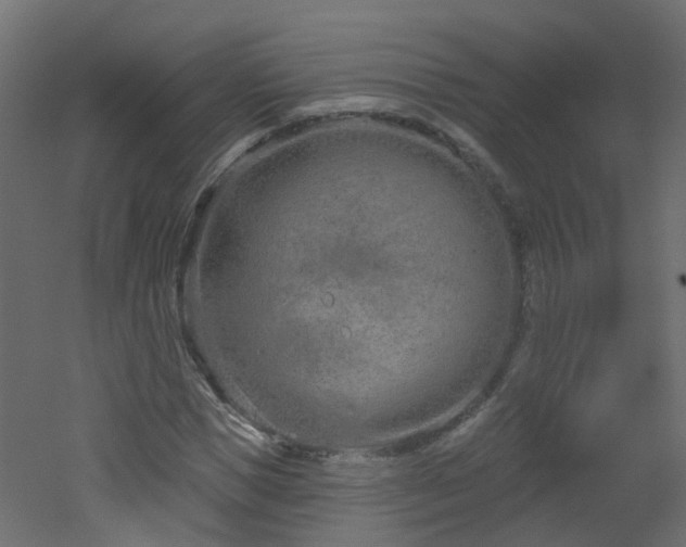 X0000051920921200506241505
