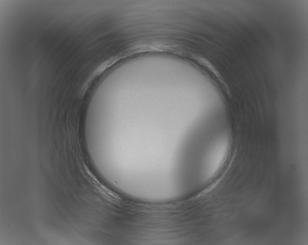 X0000051920922200506241505