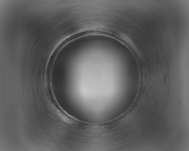 X0000051920924200506241505