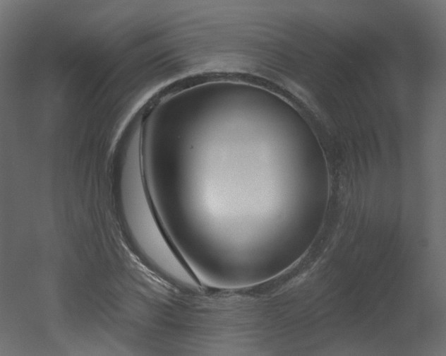 X0000051920926200506241505