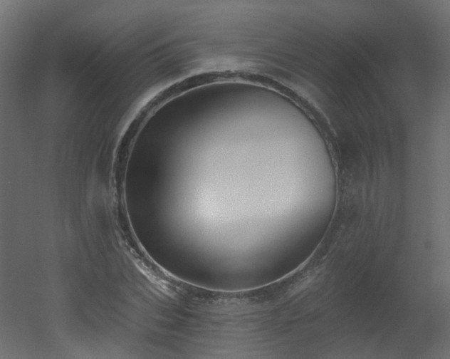 X0000051920927200506241505