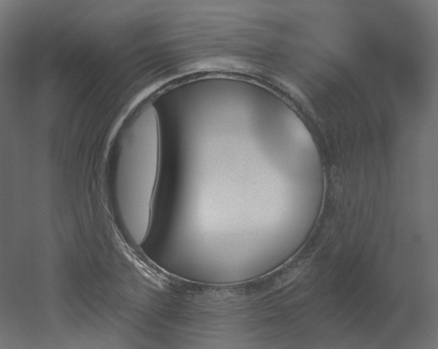 X0000051920931200506241505