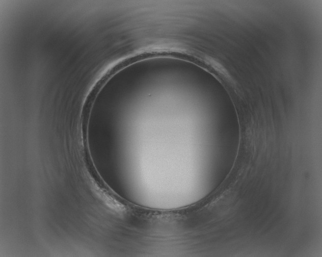 X0000051920934200506241505