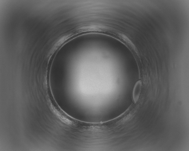 X0000051920938200506241505