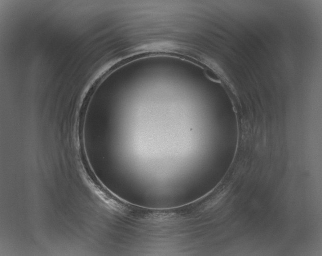 X0000051920939200506241505
