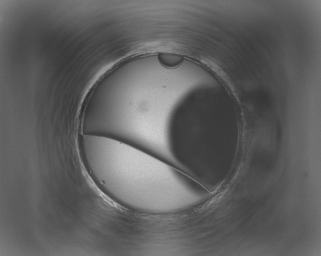 X0000051920941200506241505