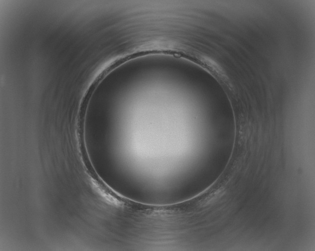 X0000051920942200506241505