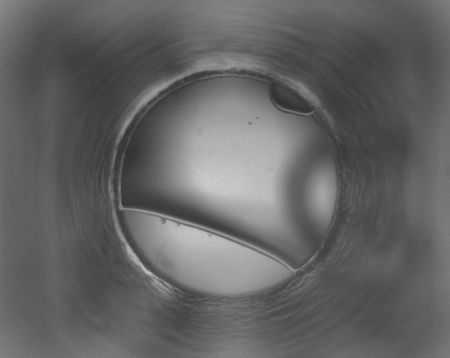 X0000051920943200506241505