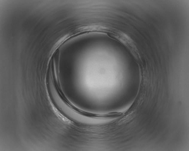 X0000051920946200506241505