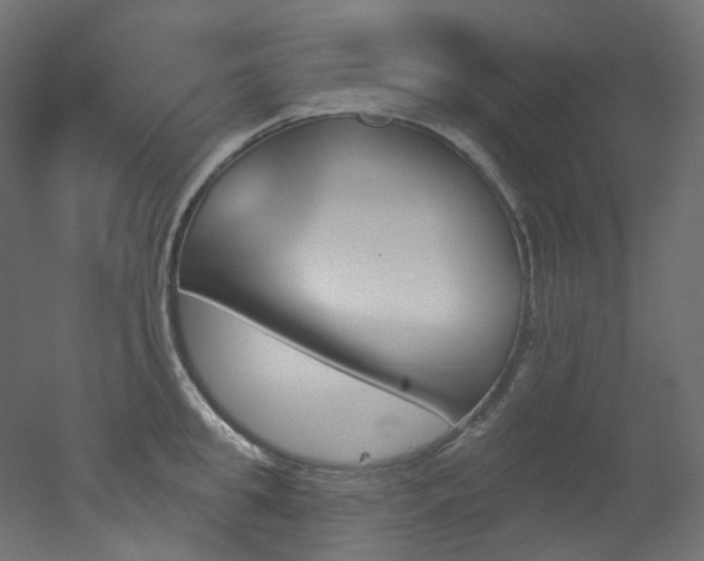 X0000051920949200506241505