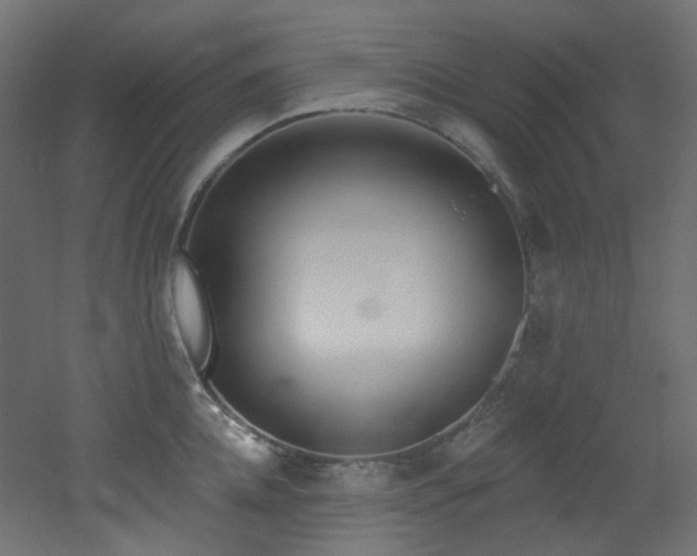 X0000051920952200506241505