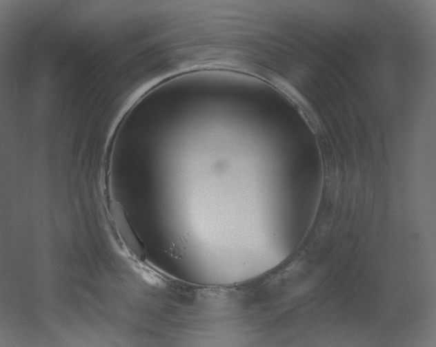 X0000051920956200506241505