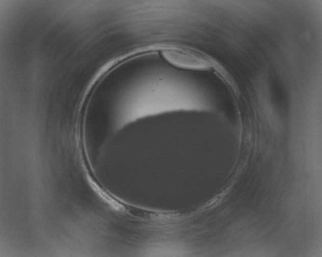 X0000051920958200506241505
